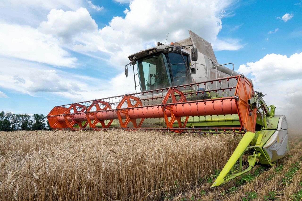 Een boer oogst een tarweveld met een maaidorser in de Oekraïense Charkov-regio in juli van dit jaar.