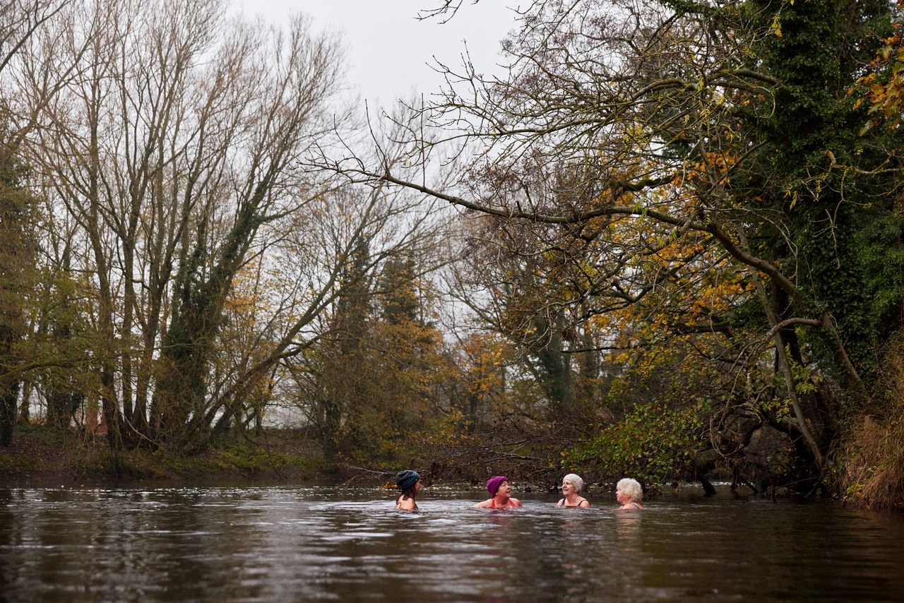 Vier zwemmers in de Wharfe-rivier bij Ilkley, half november.