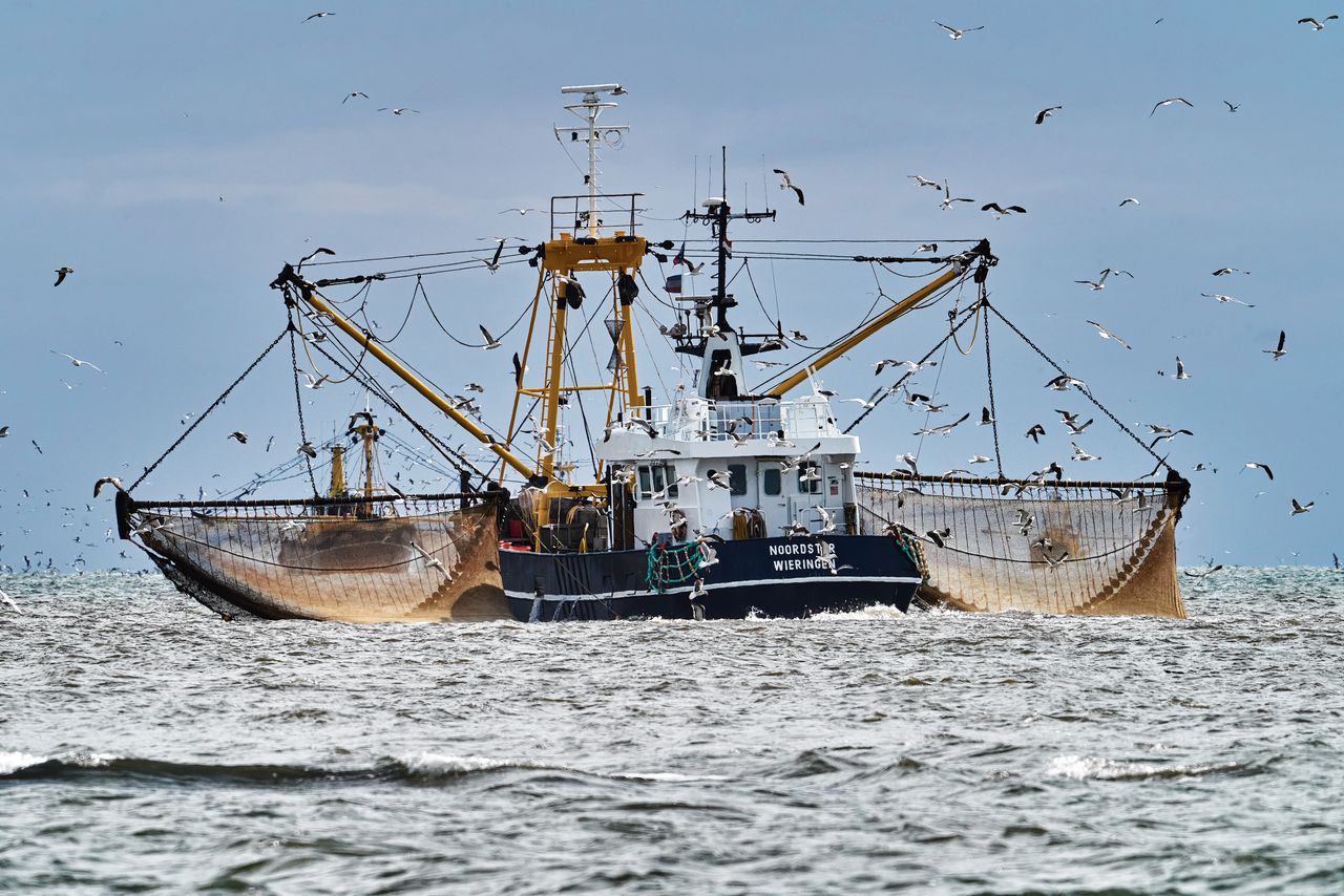 Onder meer op de Noordzee wordt door kotters, zoals die hierboven, gevist naar garnalen. De vraag is hoe lang nog, nu Europese regelgeving de daarvoor gehanteerde viswijze aan banden wil leggen.