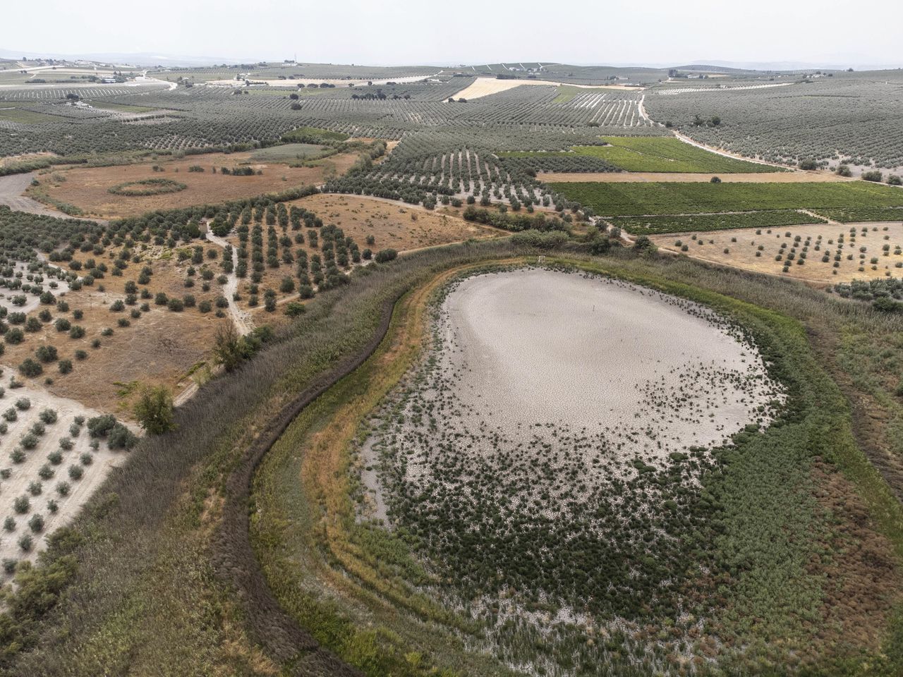 Een waterbekken in Aguilar de la Frontera, ten zuiden van Córdoba, staat vrijwel droog. Sinds 1966 heeft het water niet zo laag gestaan.