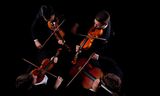 String quartet - 