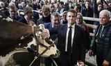 <strong>President Emmanuel Macron</strong> met de prijswinnende Normandische koe Oreillette, afgelopen zaterdag op de Salon International de l’Agriculture in Parijs